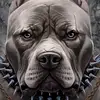 leeDarwin - @darwinlee14 - TikTok