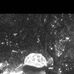 Darwin Lanz - Facebook