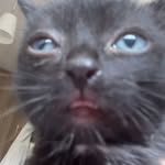 Darwin Lewis - @darwin.jcl - Instagram