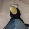 Darwin.Lewis - @darwin.lewis - TikTok