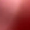Darwin.link - @darwin.link - TikTok