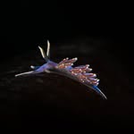 DARWIN  MAUFE - @darwin_maufe_photography - Instagram