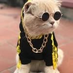 darwinmaas - @machirulamergaslarga - Instagram