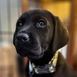 @darwin__mack_andpack - Instagram