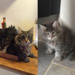 @marvin_and_darwin - Instagram