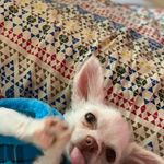 milly💘Darwin💙Marvin💙 - @milly_darwin_marvin - Instagram