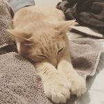 Darwin Matthews - @darwin.aka.darfar - Instagram