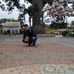 Darwin Mejia - Facebook
