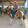 Darwin Mejia - @darwinmejia47 - TikTok