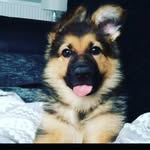 Darwin michael - @reyesdelgadodarwinmichael - Instagram