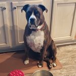 Darwin Miller - @darwin_garagengineer - Instagram