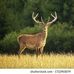 Darwin Mitchell - Facebook