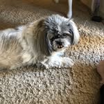 Darwin morris - @dashing_dardar19 - Instagram
