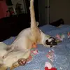 darrinmorrow - @darrinmorrow - TikTok