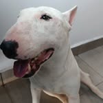 Darwin Muñoz - @darwin_munoz__ - Instagram