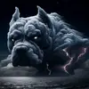 Darwin Naranjo - @darwin.naranjo7 - TikTok