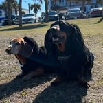 Newton & Darwin - @newtonydarwin - Instagram