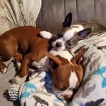 Newton & Darwin - @newton.and.darwin - Instagram