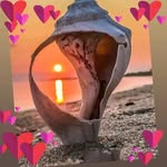 Darwin Fernando Noblecilla - @noblecilladarwinfernando - Instagram