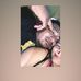 Darwin Ortiz - Facebook