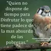 darwin pabon - @darwinpabon185 - TikTok