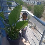 Darwin Padron - @padron10707 - Instagram