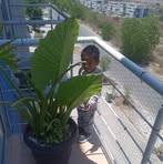 Darwin Padron - Facebook