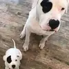 Darwin Padron - @darwin.padron67 - TikTok