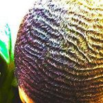 Darwin Paul - @black_lion_101 - Instagram
