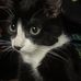 Darwin Peters - Facebook
