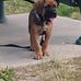 Darwin Peters - Facebook