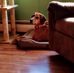 Darwin Petersen - Facebook