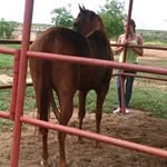 Darwin piña - @darwinpina29 - Instagram