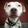 Darwin Piña - @darwin.pia6 - TikTok