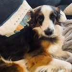 Darwin Finch - @darwin_in_pittsboro - Instagram