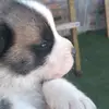 darwinpoblete - @darwinpoblete - TikTok