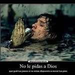 Darwin Quinatoa - @quinatoad - Instagram