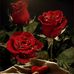 Darwin Quinatoa - Facebook