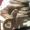 RandolphDarwinLpt2b - @randolphdarwinlpt2b - TikTok