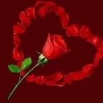 Darwin Richard Hartson - @darwinrichardhart - Instagram