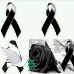 Darwin Richard Mendoza Villamar - @darwinrichardmend - Instagram