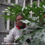 Richman - @darwin_clearwaters - Instagram
