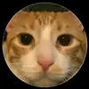 darwin robles - @darwin.robles76 - TikTok
