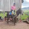 Darwin Rodriguez 🤠 - @darwin.rodriguez046 - TikTok