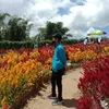 darwinroy720 - @darwinroy720 - TikTok