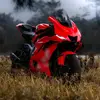 Darwin Ruano - @ruanodarwin - TikTok