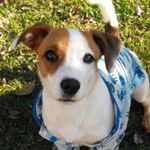 Darwin - @darwin_jk_russell - Instagram