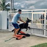 DARWIN RUSSELL - @darwinrussell090 - Instagram
