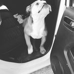 Darwin Saavedra - @darwinsaavedra5 - Instagram