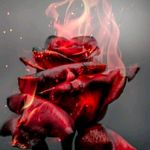 Darwin sabastin - @darwinsabastin - Instagram